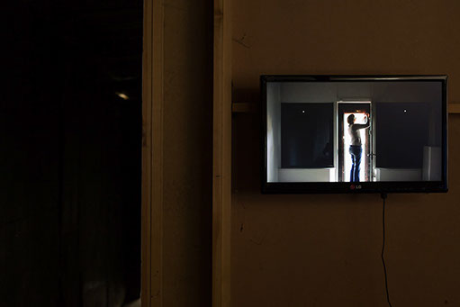 Installation including sculpture, video, painting, bookwork, animation